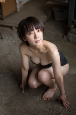 娼年在线观看 封面