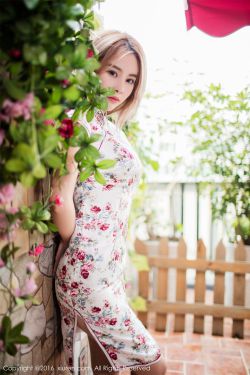 姐姐的闺蜜电视剧 封面